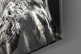 Owl Glass Wall Art.